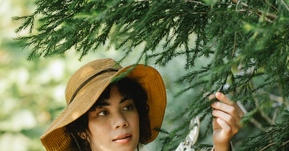 What happens if you don't prune?